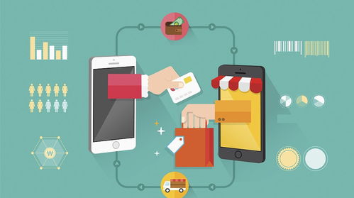 小米生态链与精品电商 中国电器消费市场的双极格局